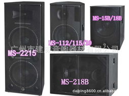 rvs,專業工程音響,演出音響,遠程音響 舞臺專業音響 工程音響價格