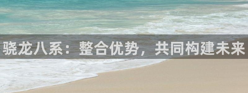 天辰娱乐网站登录流程：骁龙八系：整合优势，共同构建未来
