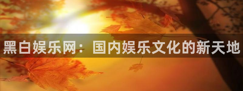 天辰娱乐加拿大app预测：黑白娱乐网：国内娱乐文化的新天地