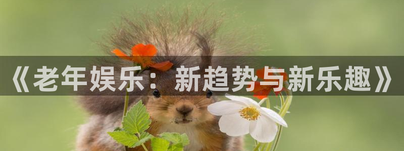 天辰娱乐体育2：《老年娱乐：新趋势与新乐趣》