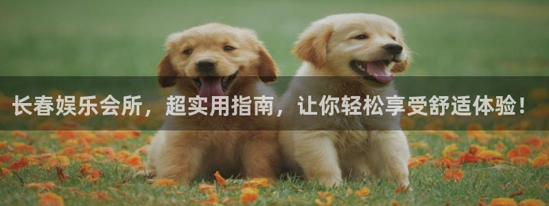 天辰娱乐体育合法嘛：长春娱乐会所，超实用指南，让你轻松享受舒适体验！