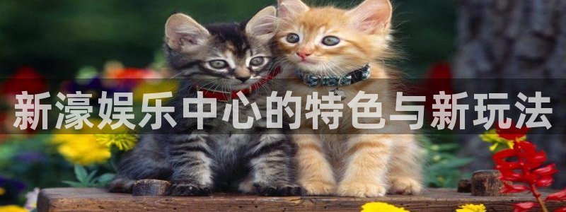 天辰娱乐官网版下载：新濠娱乐中心的特色与新玩法