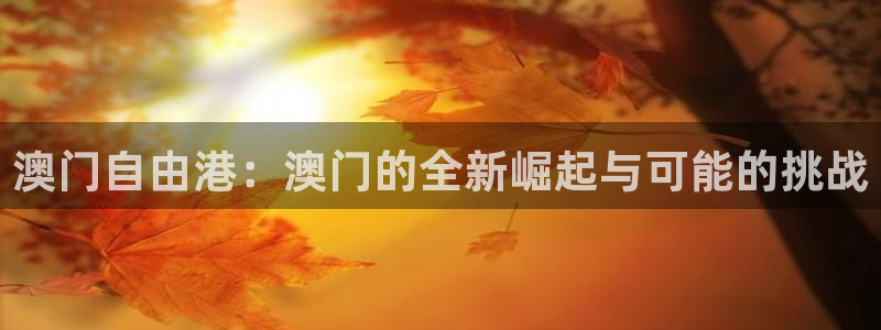天辰娱乐下载入口：澳门自由港：澳门的全新崛起与可能的挑战