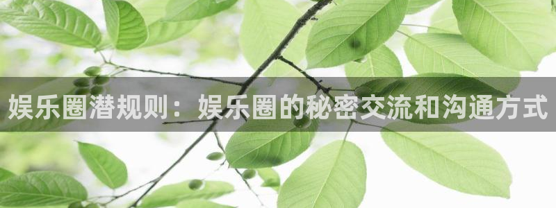 天辰娱乐电子游戏：娱乐圈潜规则：娱乐圈的秘密交流和沟通方式