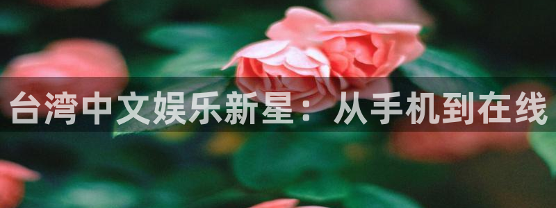 天辰娱乐：台湾中文娱乐新星：从手机到在线