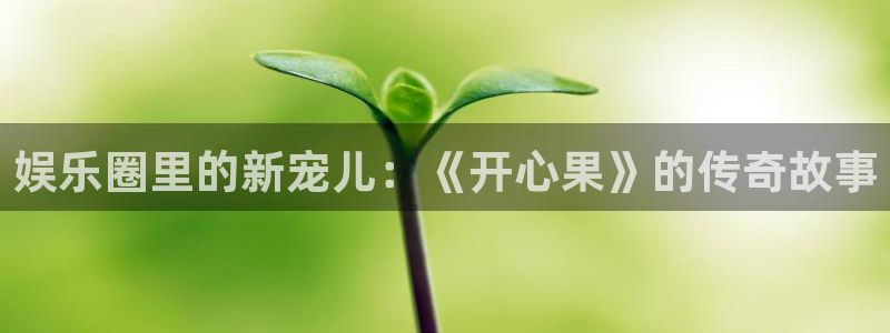 天辰娱乐的平台：娱乐圈里的新宠儿：《开心果》的传奇故事