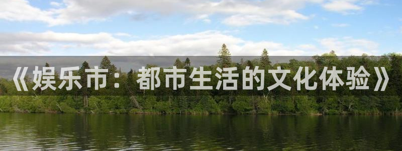 天辰娱乐游戏有哪些好玩的：《娱乐市：都市生活的文化体验》
