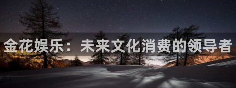 天辰娱乐2平台：金花娱乐：未来文化消费的领导者