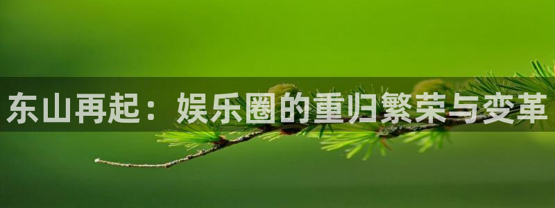 天辰娱乐哪个游戏好爆：东山再起：娱乐圈的重归繁荣与变革