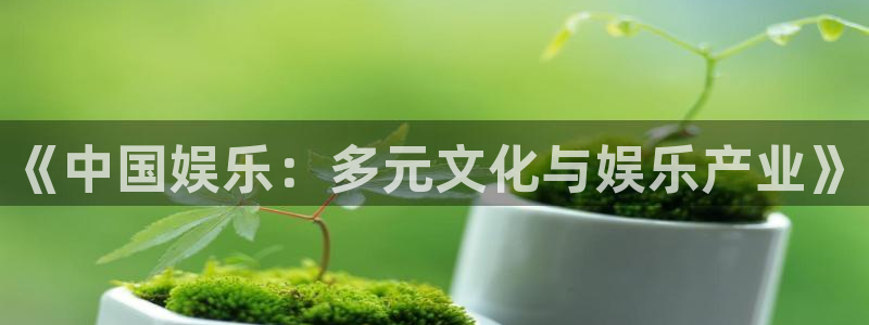 天辰娱乐4平台注册：《中国娱乐：多元文化与娱乐产业》